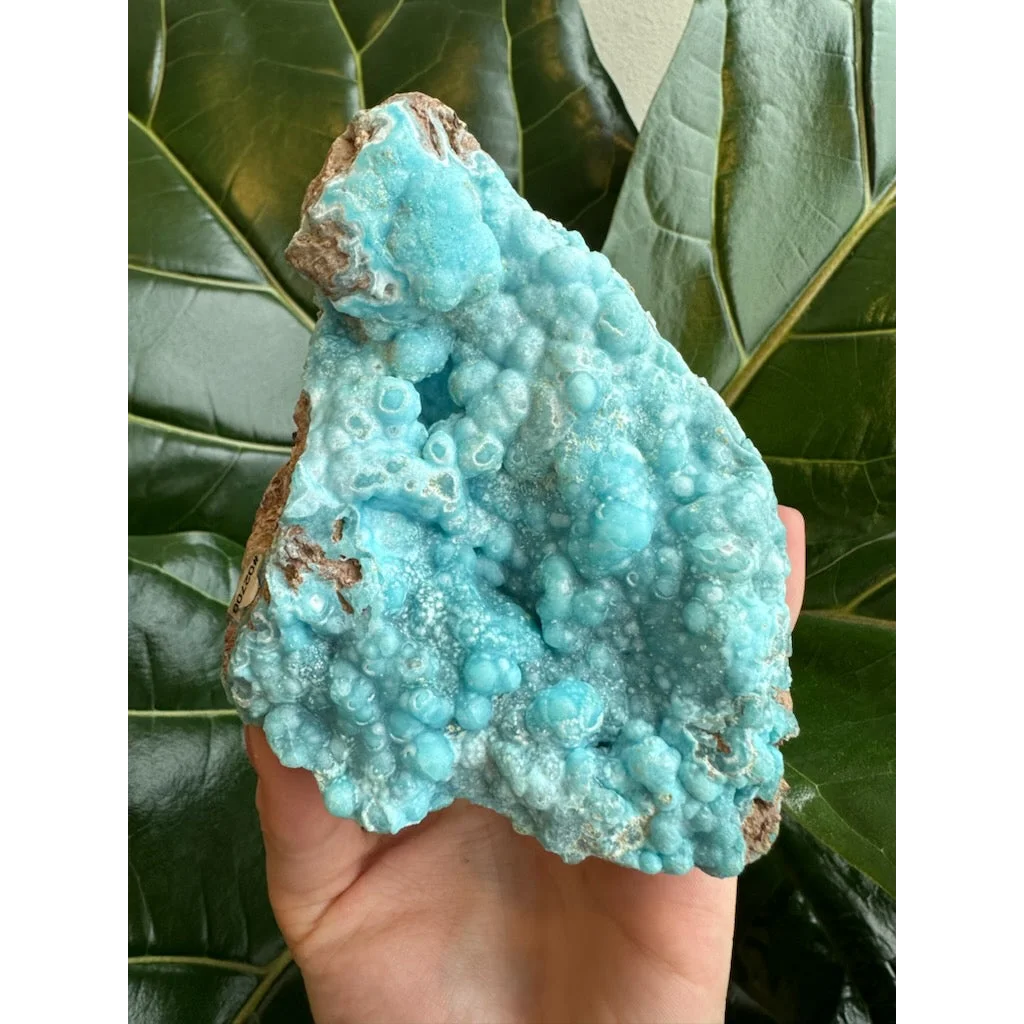Vibrant blue hemimorphite botryoidal specimen with turquoise bubbly geode surface