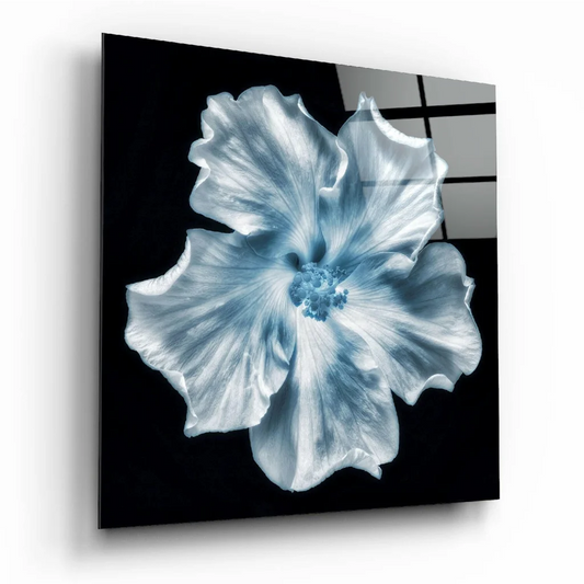 Stunning blue hibiscus glass wall art with white frame