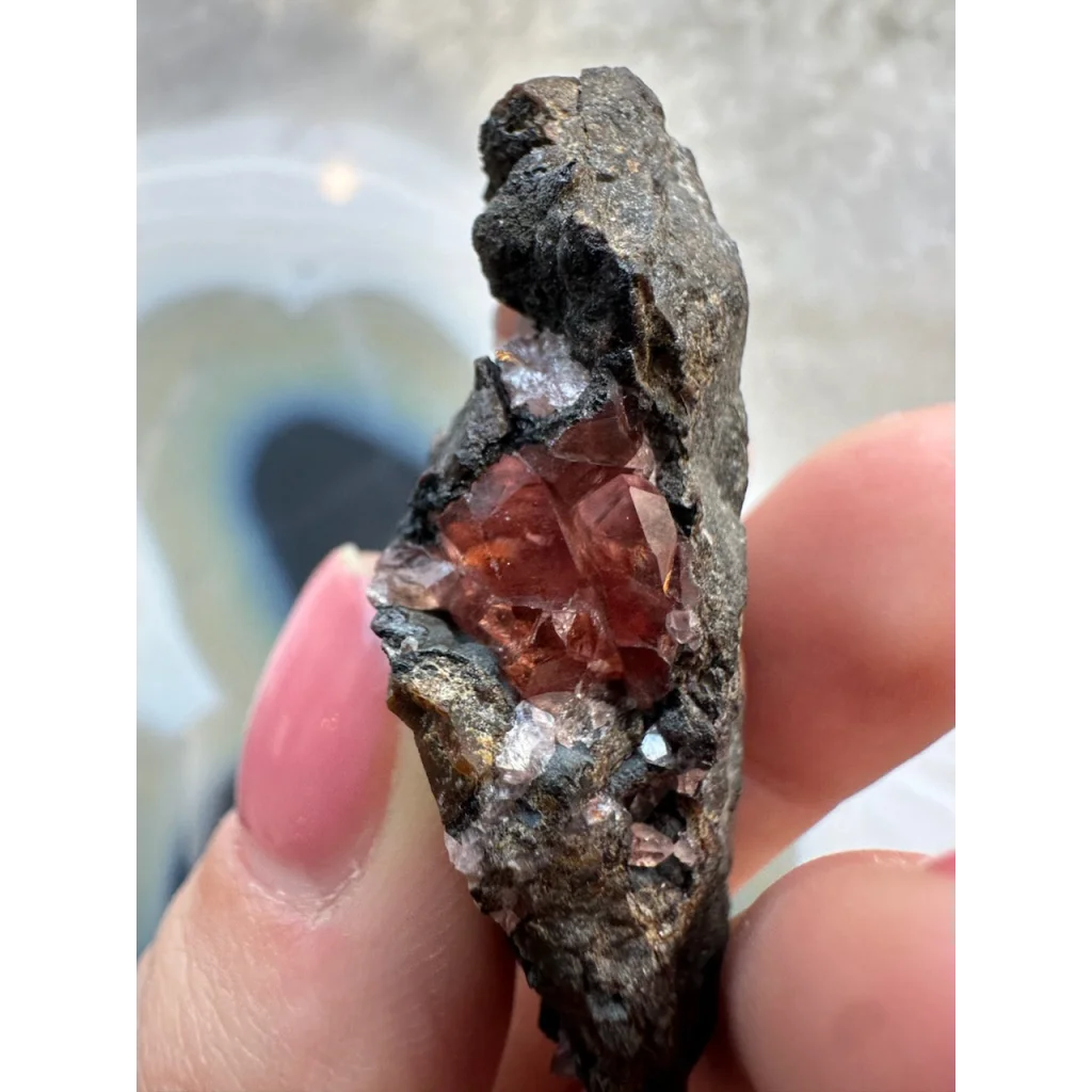 Hand holding Brazilian Rhodochrosite crystal cluster on dark matrix