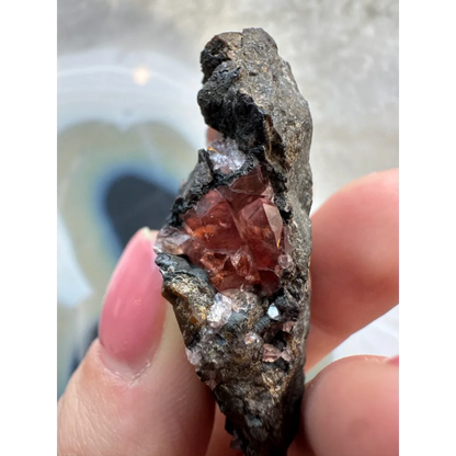 Hand holding Brazilian Rhodochrosite crystal cluster on dark matrix