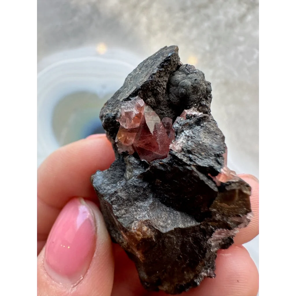 Hand holding stunning Brazilian Rhodochrosite crystal cluster on dark matrix