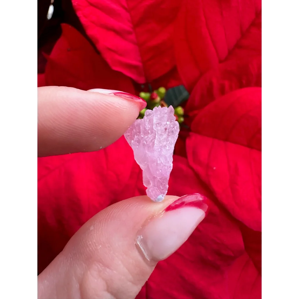 Hand holding translucent pink rose quartz crystal cluster