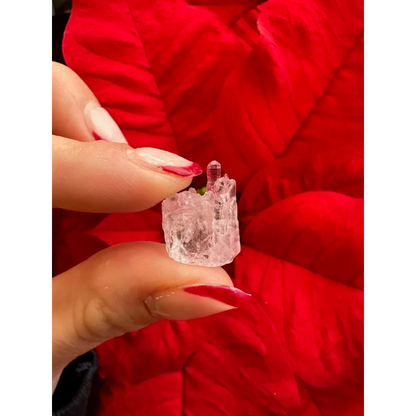 Stunning Brazilian rose quartz crystal cluster with clear quartz tip