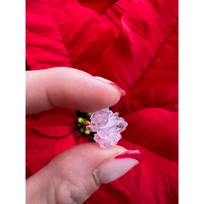 Delicate pink rose quartz crystal cluster shaped like a translucent flower