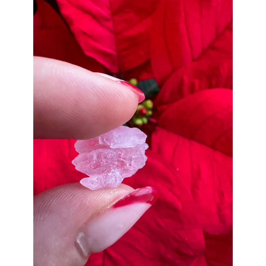 Translucent pink rose quartz crystal cluster held in fingers