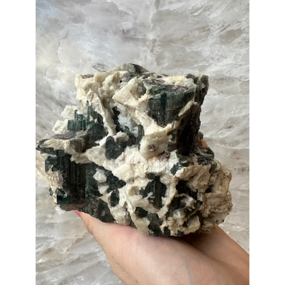 Hand holding stunning Brazilian tourmaline on albite crystals