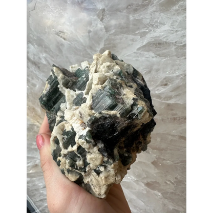 Hand holding stunning Brazilian tourmaline on albite crystal specimen