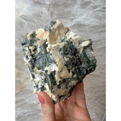 Hand holding Brazilian tourmaline crystals on albite matrix