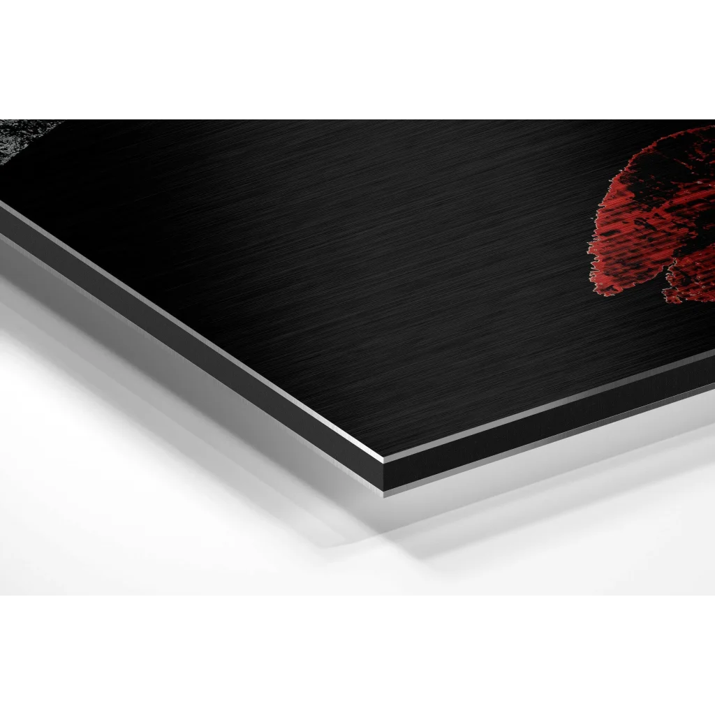 Stunning brushed aluminium dibond print with red abstract corner design