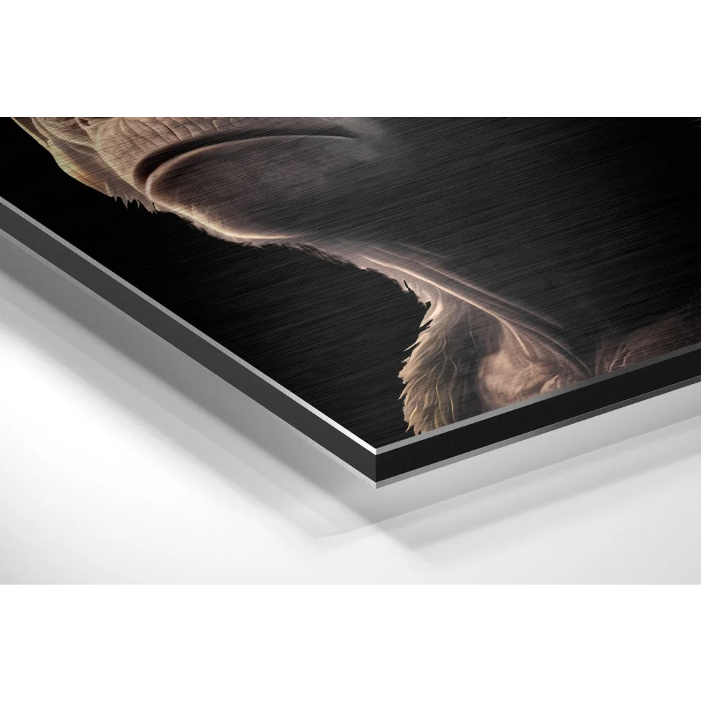 Glass Wall Art Stunning brushed aluminium dibond animal art with textured brown fur close-up