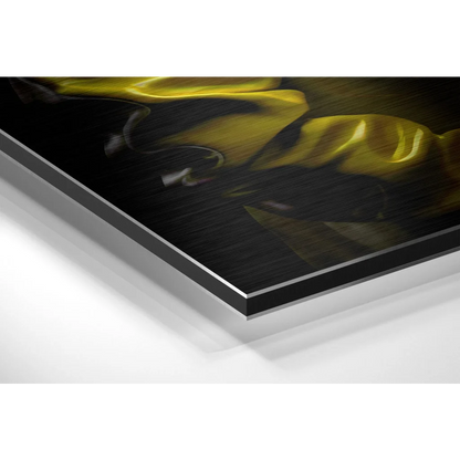Black metal-framed glossy yellow fabric art print on brushed aluminium dibond