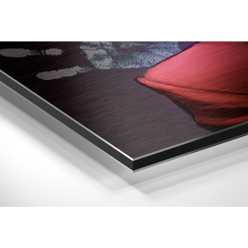 Glass Wall Art Red brushed aluminium dibond cushion with black border, modern design