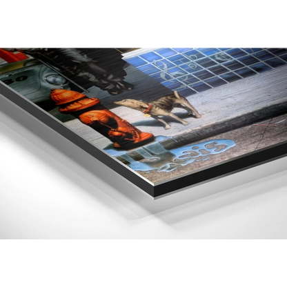 Orange safety helmet on brushed aluminium dibond art print