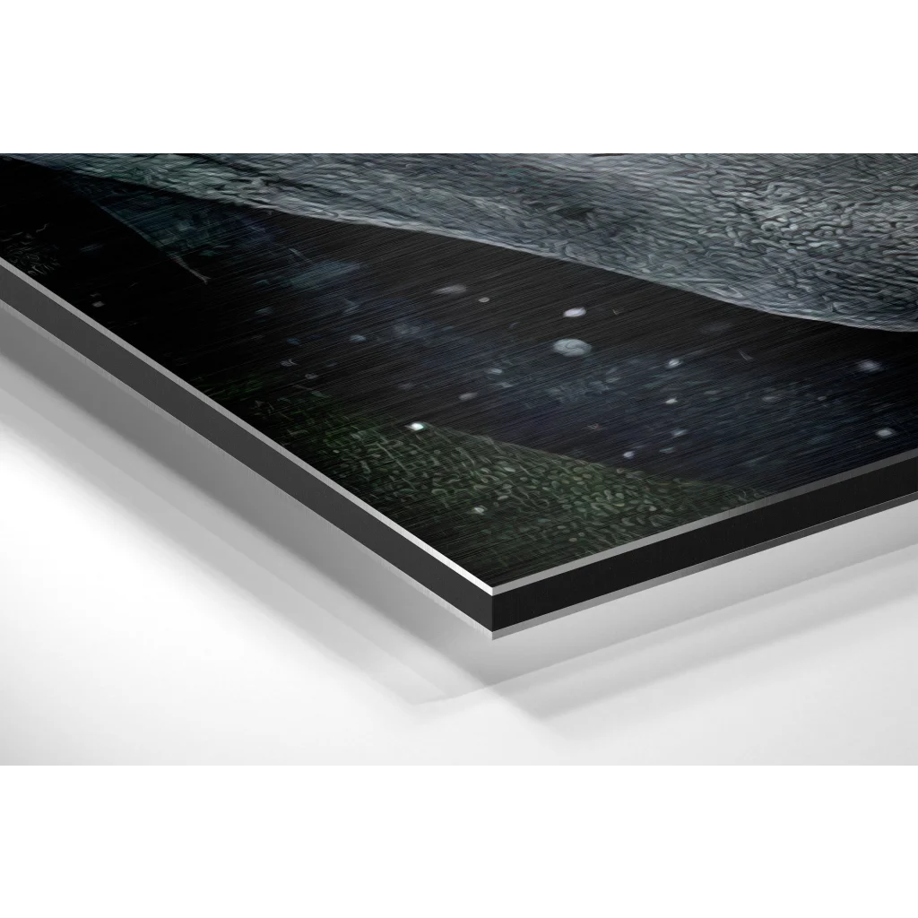 Black and white night sky stars on brushed aluminium dibond print