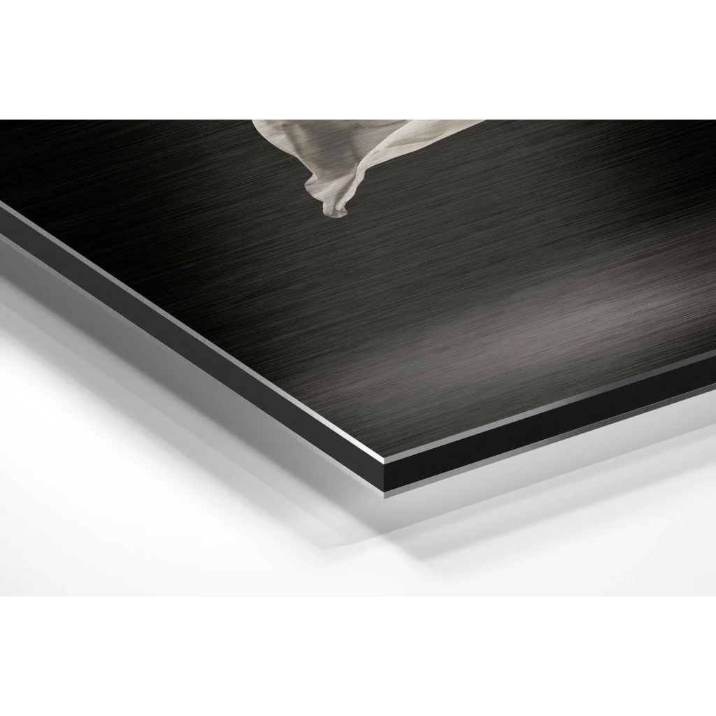 Glass Wall Art Stunning brushed aluminium dibond ballerina wall art with white fabric detail