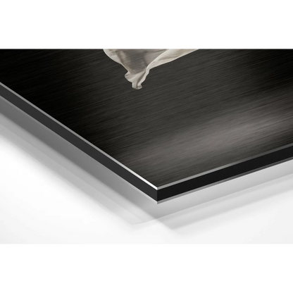 Stunning brushed aluminium dibond ballerina wall art with white fabric detail