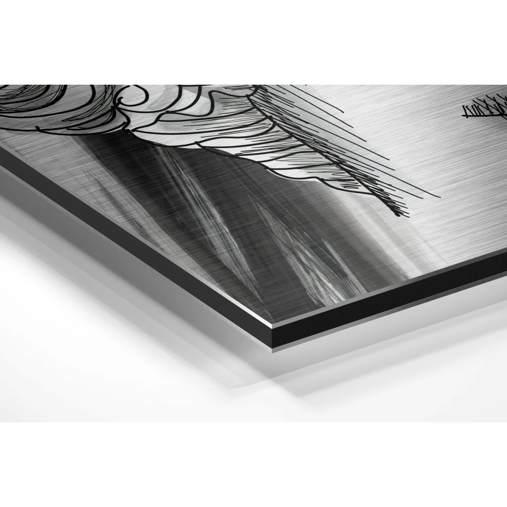 Stunning brushed aluminium dibond print with black ink feather drawing