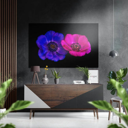 Samsung QLED TV with vibrant blue and pink flowers on brushed aluminium dibond print