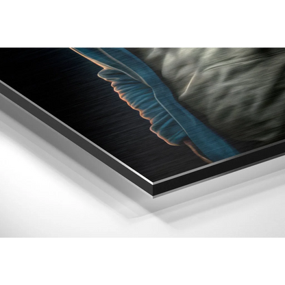 Vibrant blue feather on sleek black acrylic brushed aluminium dibond print