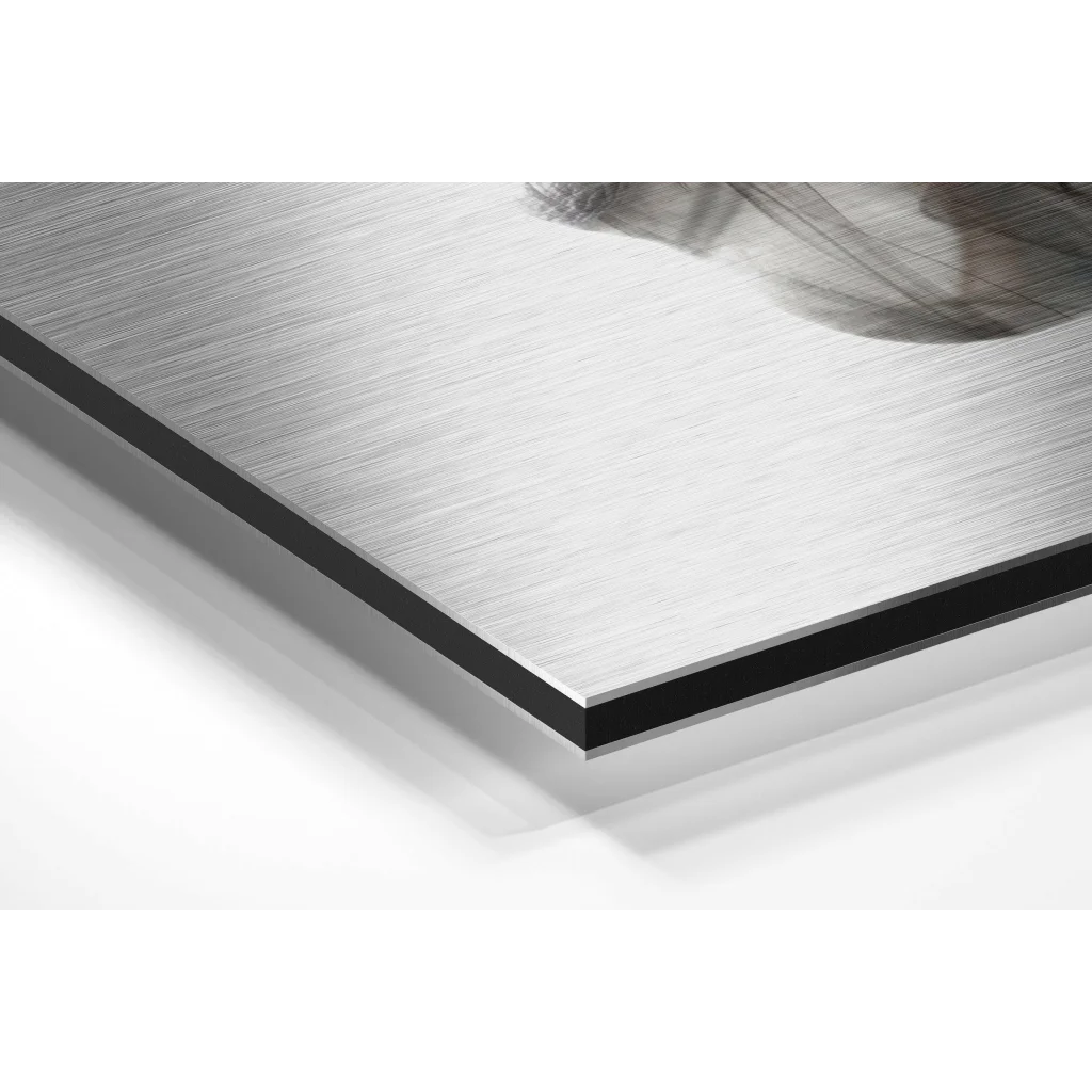 Glass Wall Art Stunning silver brushed aluminium dibond art print with black border