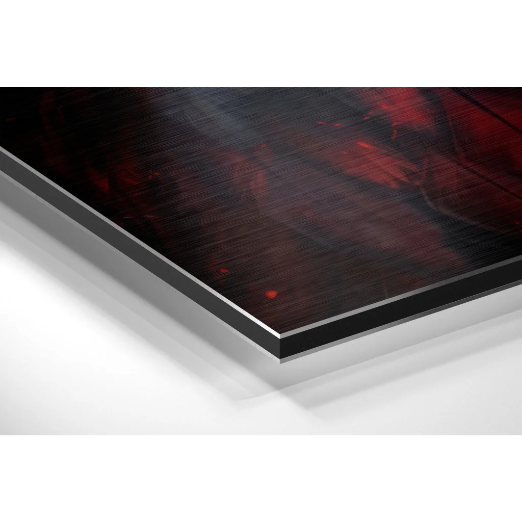 Stunning brushed aluminium dibond red eagle wall art print