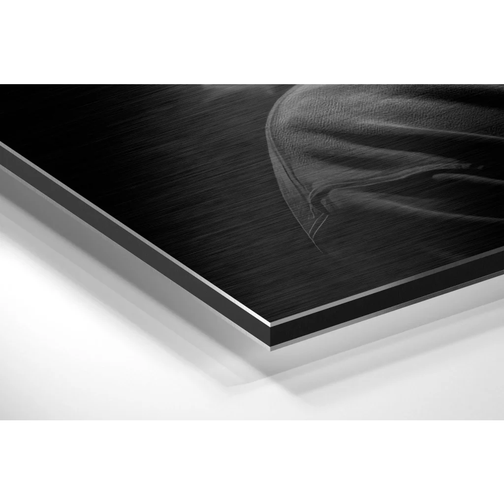 Stunning brushed aluminium dibond abstract art print