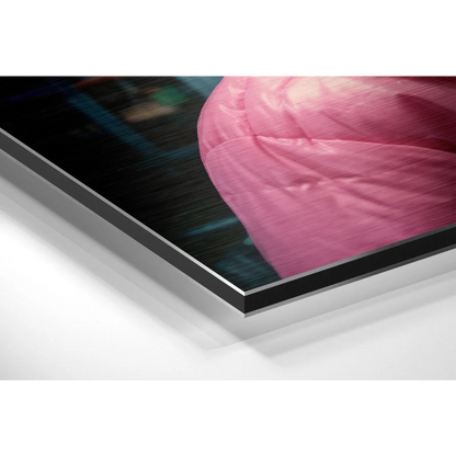 Vibrant pink satin fabric folds on dark background in brushed aluminium dibond art