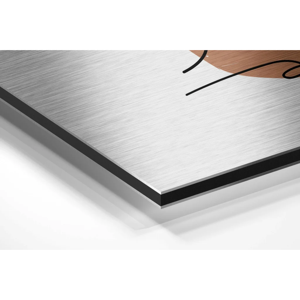 Stunning brushed aluminium dibond wall art with silver metal canvas, black lines, brown accents