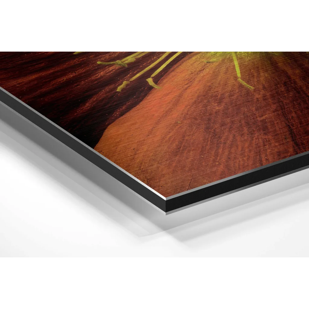 Close-up of warm amber wood grain in brushed aluminium dibond wall art