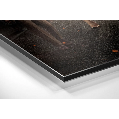 Stunning Brushed Aluminium Dibond Wall Art Print | Glass Wall Art Print | vintageantiquesgifts.com
