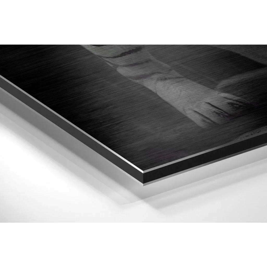 Glass Wall Art Minimalist black and white hands art on brushed aluminium dibond