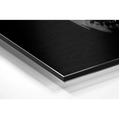 Stunning brushed aluminium dibond wall art with black and white glossy print