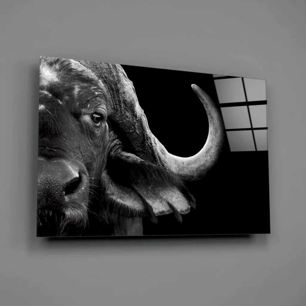 Stunning black and white buffalo glass wall art canvas print