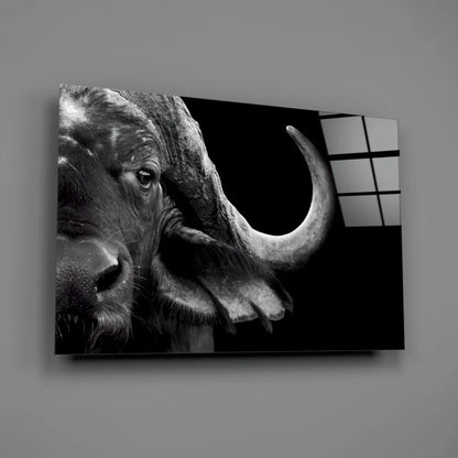 Stunning black and white buffalo glass wall art canvas print
