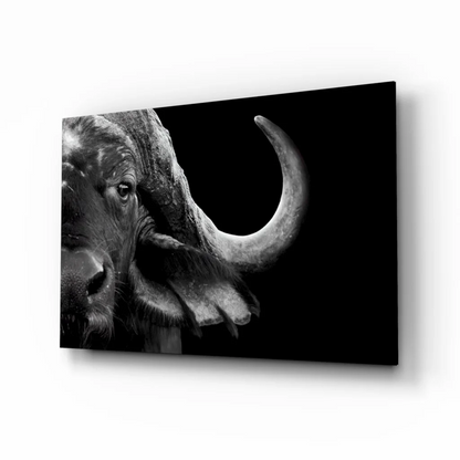 Stunning black and white buffalo glass wall art canvas print