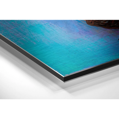 Stunning butterfly brushed aluminium dibond wall art print