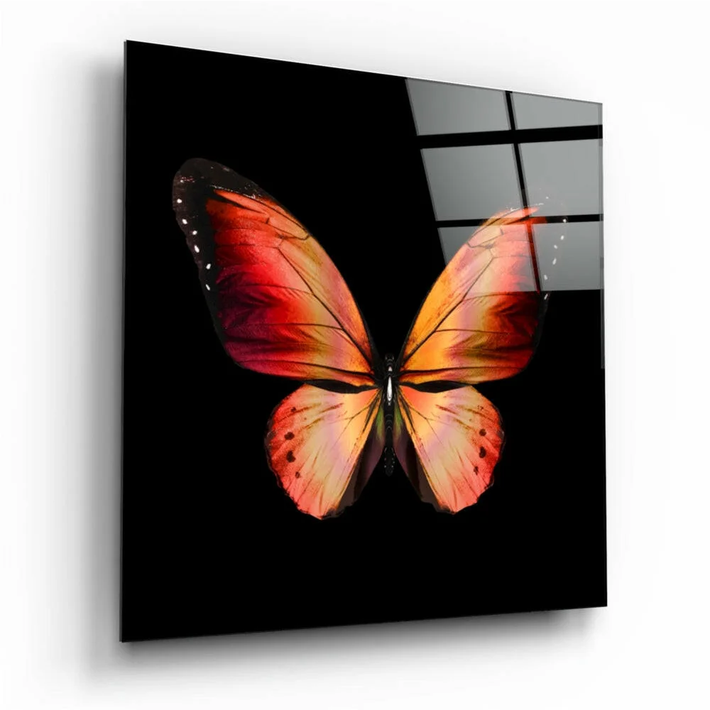 Vibrant orange and pink butterfly glass wall art