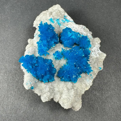Vibrant blue copper sulfate crystals on white stilbite matrix Maharashtra specimen