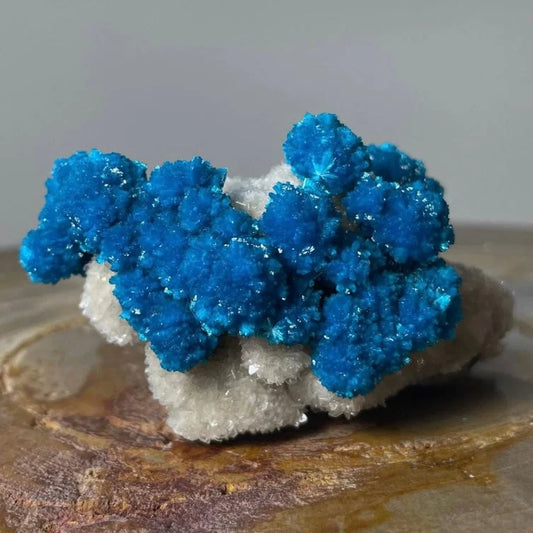Vibrant blue cavansite crystals on white stilbite matrix from Maharashtra