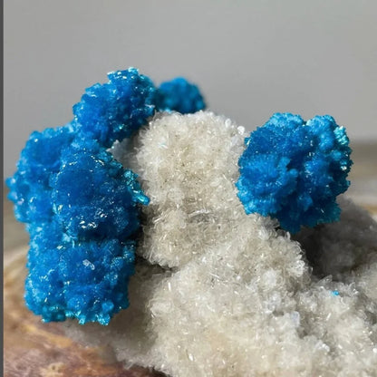 Vibrant blue copper sulfate crystals on white stilbite matrix Maharashtra specimen