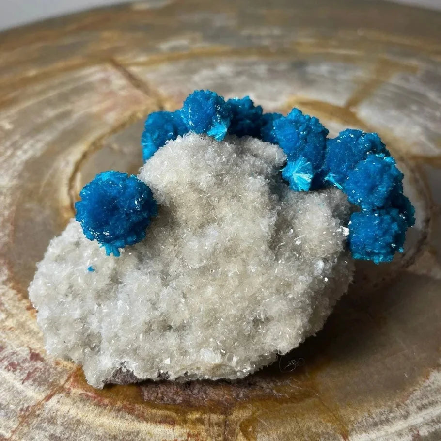 Vibrant cavansite crystals on white stilbite matrix Maharashtra specimen