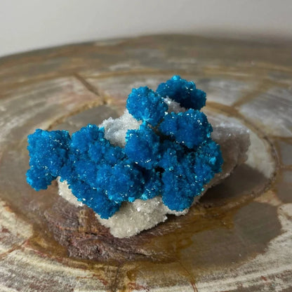 Vibrant blue copper sulfate crystals on white stilbite matrix Maharashtra specimen