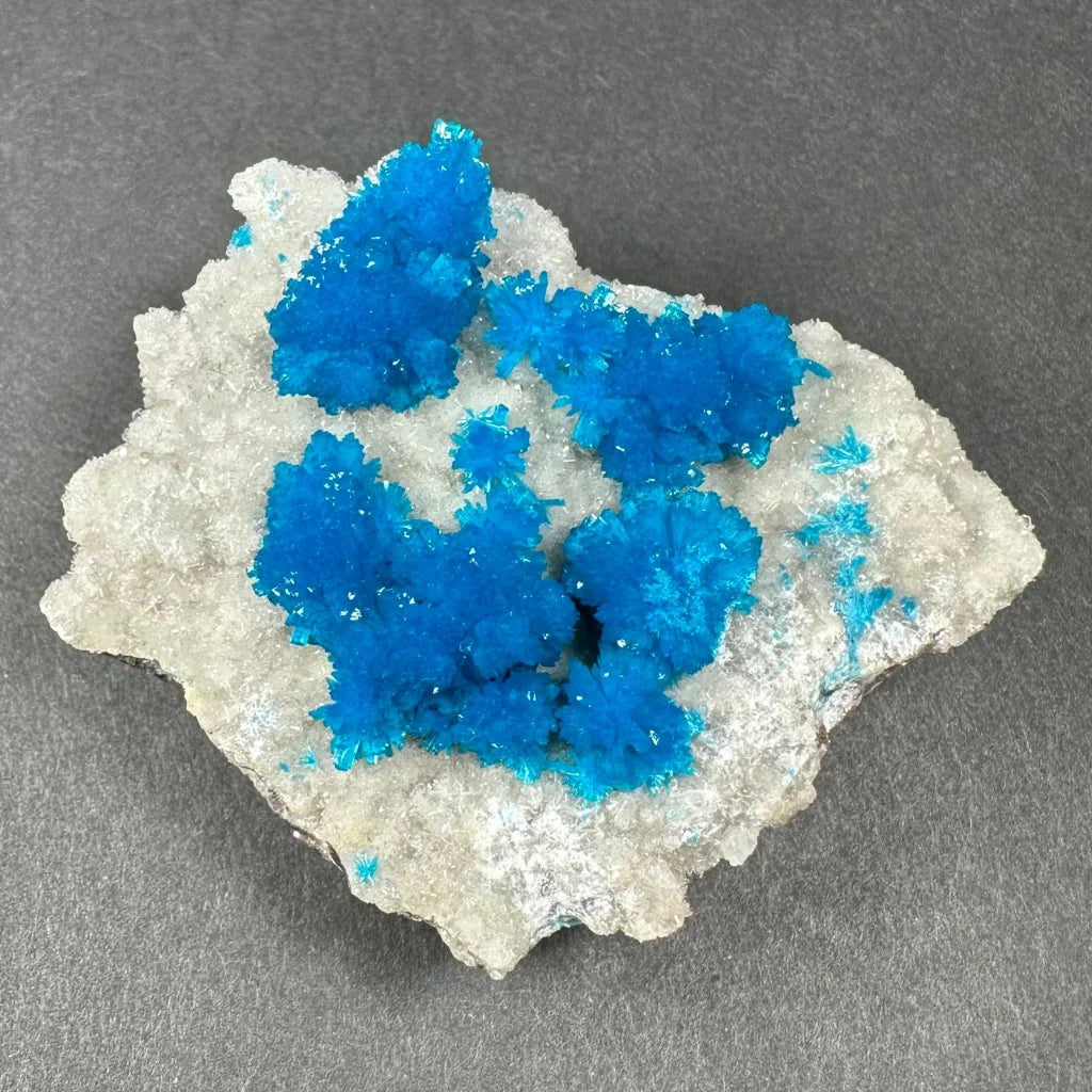 Vibrant blue copper sulfate crystals on white stilbite matrix Maharashtra specimen