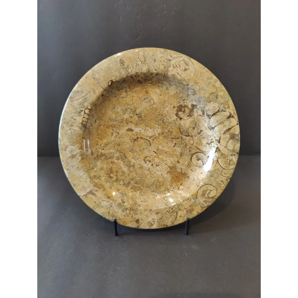 Stunning coral fossil decorative plate in beige brown glossy ceramic