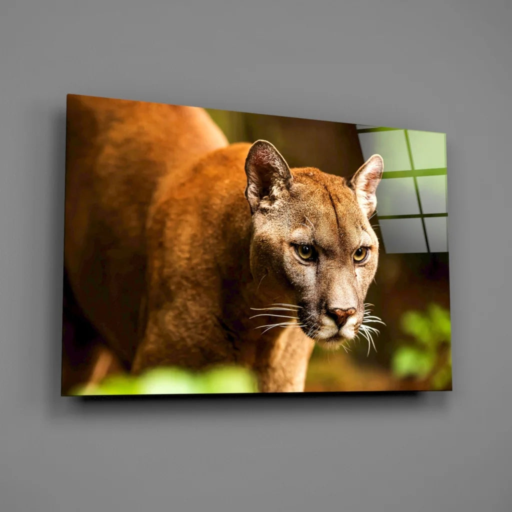 Stunning Cougar Canvas Wall Art with Piercing Golden Eyes | Glass Wall Art Print | vintageantiquesgifts.com