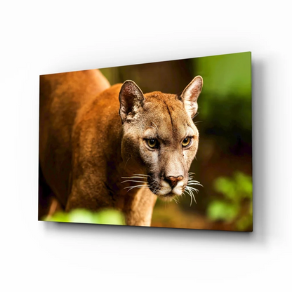 Stunning Cougar Canvas Wall Art with Piercing Golden Eyes | Insigneart USA | vintageantiquesgifts.com