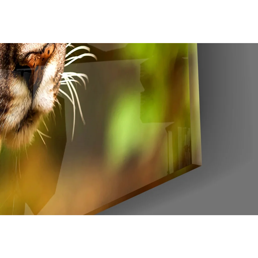 Stunning cougar canvas wall art with piercing golden eyes and detailed fur