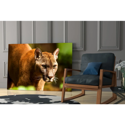 Stunning cougar canvas wall art with piercing golden eyes