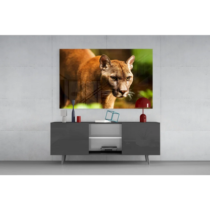Stunning cougar canvas wall art with piercing golden eyes close-up