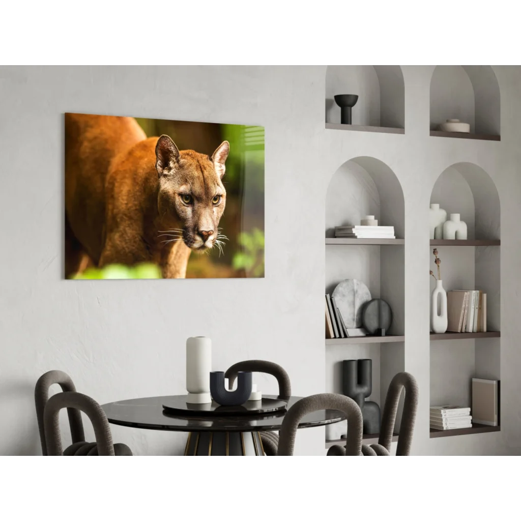 Stunning cougar canvas wall art with piercing golden eyes on white wall